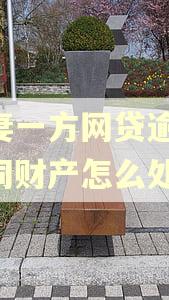 夫妻一方网贷逾期,共同财产怎么处理
