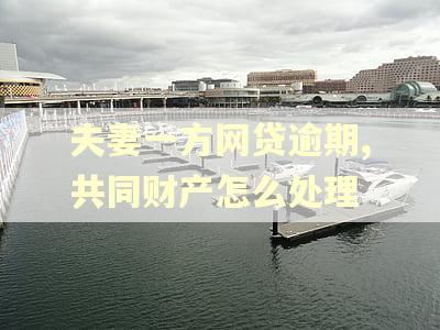 夫妻一方网贷逾期,共同财产怎么处理