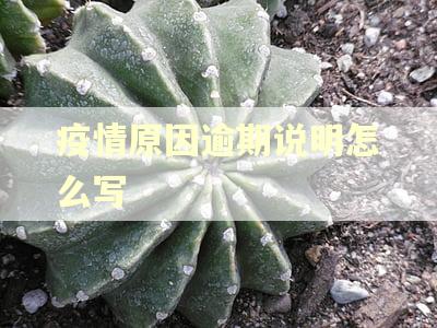 疫情原因逾期说明怎么写