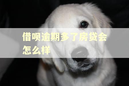 借呗逾期多了房贷会怎么样