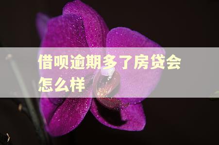 借呗逾期多了房贷会怎么样 借呗逾期多了房贷会怎么样