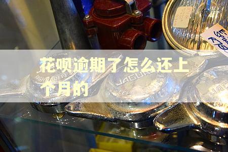 花呗逾期了怎么还上个月的