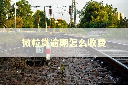 微粒贷逾期怎么收费
