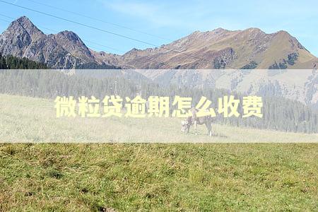 微粒贷逾期怎么收费