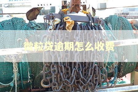 微粒贷逾期怎么收费