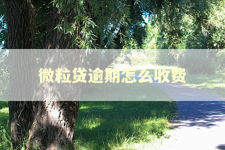 微粒贷逾期怎么收费