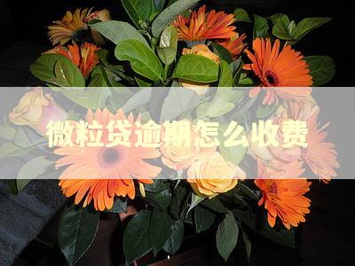 微粒贷逾期怎么收费 微粒贷逾期怎么收费