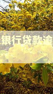 交通银行贷款逾期怎么