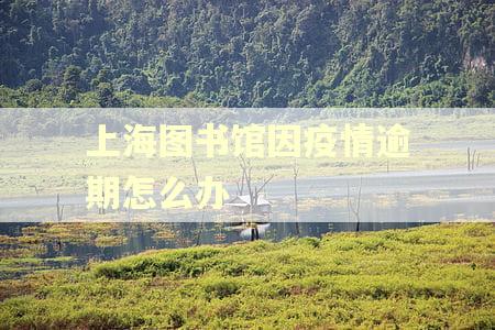 上海图书馆因疫情逾期怎么办