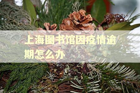 上海图书馆因疫情逾期怎么办