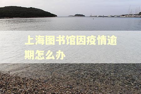 上海图书馆因疫情逾期怎么办