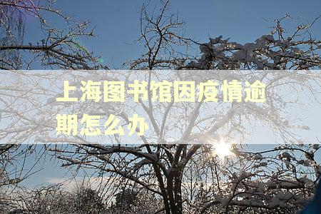 上海图书馆因疫情逾期怎么办 上海图书馆因疫情逾期怎么办