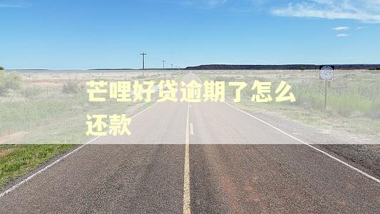 芒哩好贷逾期了怎么还款