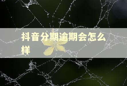 抖音分期逾期会怎么样