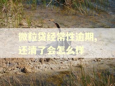 微粒贷经常性逾期,还清了会怎么样