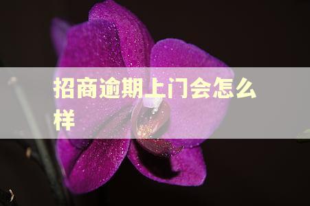 招商逾期上门会怎么样