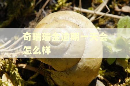 奇瑞瑞金逾期一天会怎么样 奇瑞瑞金逾期一天会怎么样