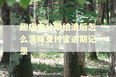 趣店来分期结清后怎么消除支付宝逾期记录