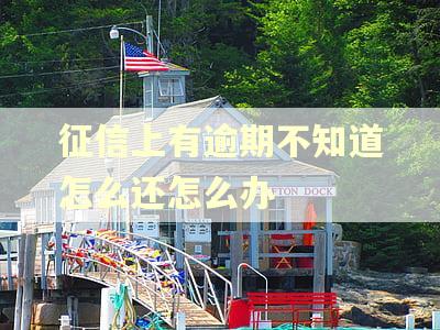 征信上有逾期不知道怎么还怎么办 征信上有逾期不知道怎么还怎么办