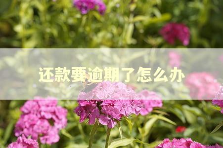 还款要逾期了怎么办
