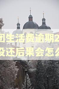美团生活费逾期20天没还后果会怎么样