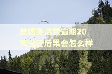 美团生活费逾期20天没还后果会怎么样