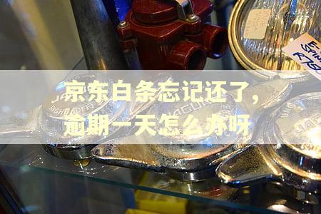 京东白条忘记还了,逾期一天怎么办呀