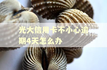 光大信用卡不小心逾期4天怎么办 光大信用卡不小心逾期4天怎么办