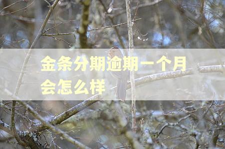 金条分期逾期一个月会怎么样