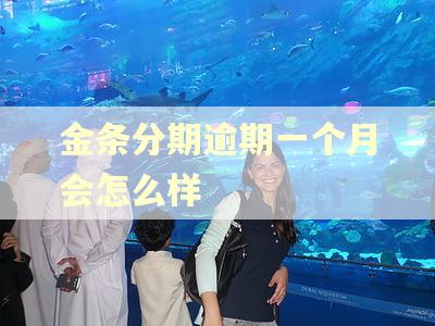 金条分期逾期一个月会怎么样