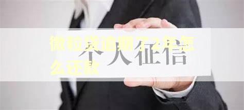 微粒贷逾期了2年怎么还款