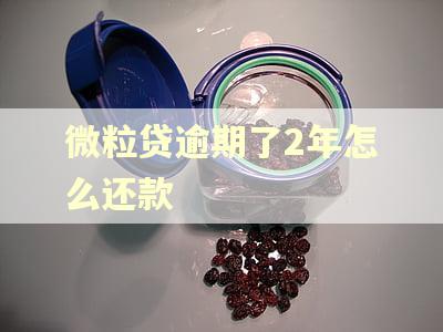 微粒贷逾期了2年怎么还款