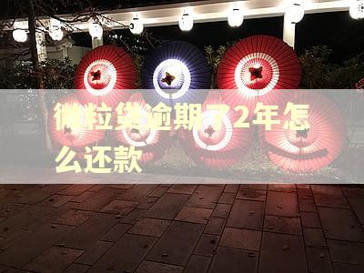 微粒贷逾期了2年怎么还款