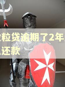 微粒贷逾期了2年怎么还款