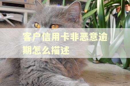 客户信用卡非恶意逾期怎么描述