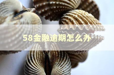 58金融逾期怎么办
