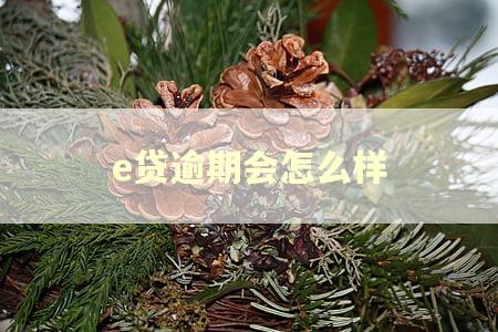 e贷逾期会怎么样 e贷逾期会怎么样