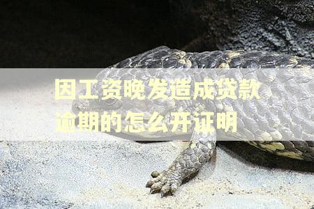 因工资晚发造成贷款逾期的怎么开证明