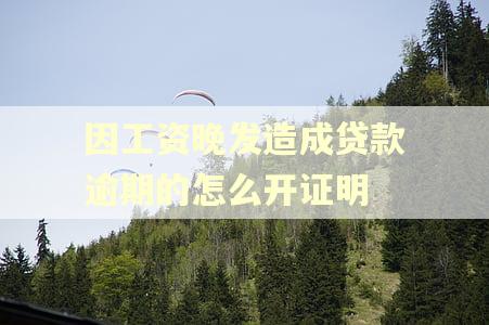 因工资晚发造成贷款逾期的怎么开证明