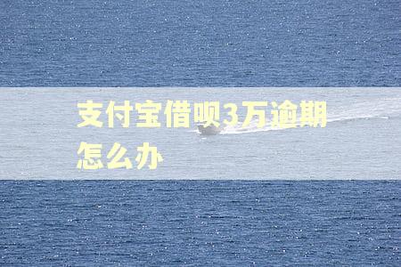 支付宝借呗3万逾期怎么办