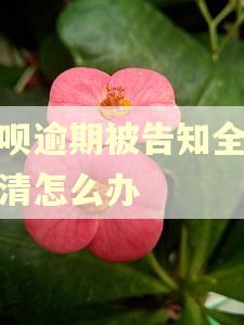 借呗逾期被告知全部还清怎么办