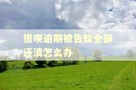 借呗逾期被告知全部还清怎么办