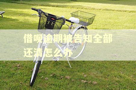 借呗逾期被告知全部还清怎么办