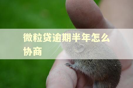 微粒贷逾期半年怎么协商