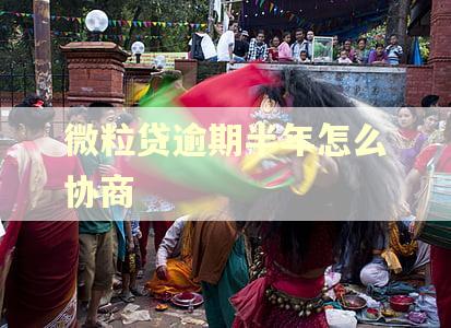 微粒贷逾期半年怎么协商