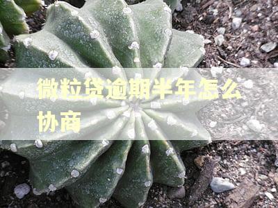 微粒贷逾期半年怎么协商 微粒贷逾期半年怎么协商