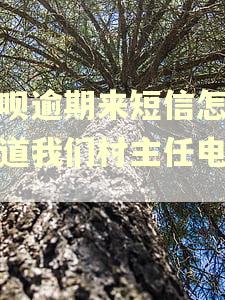 花呗逾期来短信怎么知道我们村主任电话的