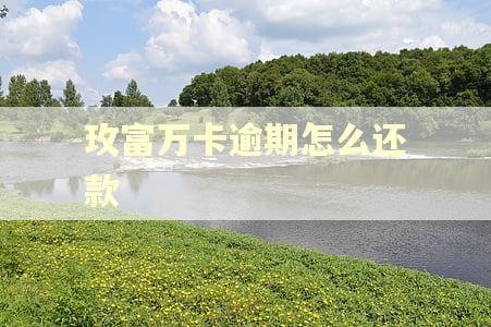 玫富万卡逾期怎么还款