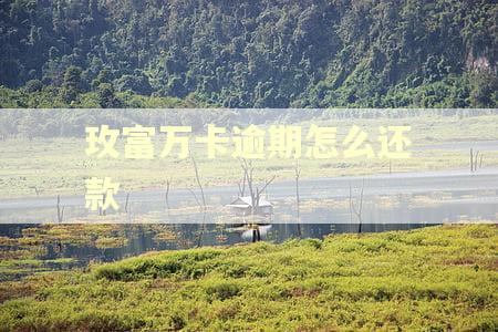 玫富万卡逾期怎么还款