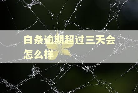 白条逾期超过三天会怎么样